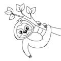 Cute cartoon sloth on tree. Black and white illustration for coloring book